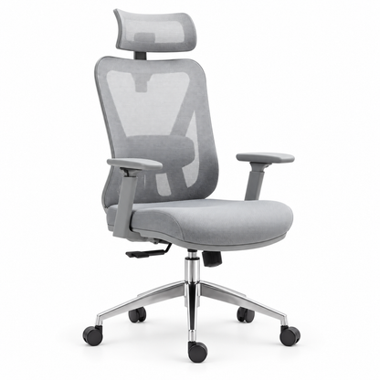 Silla De Oficina Presidencial Ergonómica - Rat