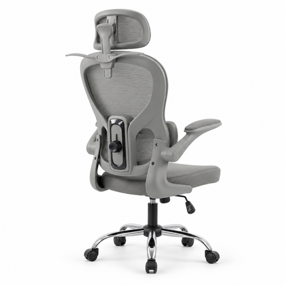 Silla De Oficina Presidencial Ergonómica - Dexter
